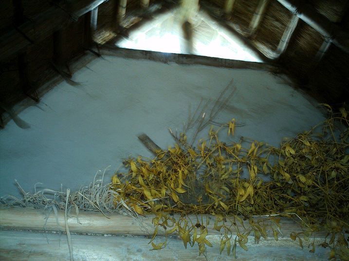 2006-10 Tübingen 092.jpg